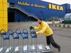 IKEA  - -   
